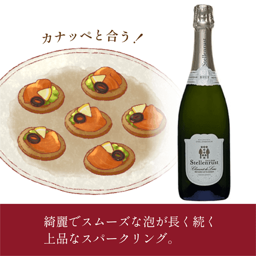 ステレンラスト・ＭＣＣ・ロゼ・スパークリング 商品画像