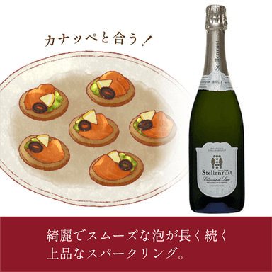 ステレンラスト・ＭＣＣ・ロゼ・スパークリング 商品画像