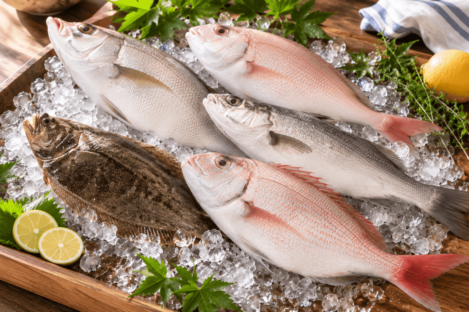 白身魚の料理の写真。